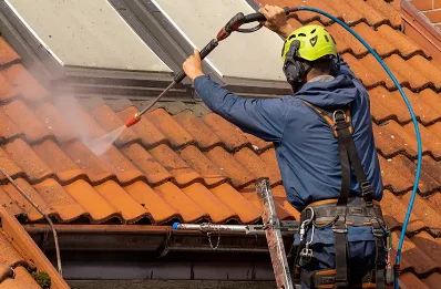 Démoussage et hydrofuge de toiture à Fomperron